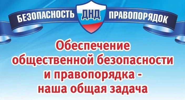 Народная дружина — это добровольное объединение граждан, созданное для охраны общественного порядка и улучшения условий жизни в вашем городе