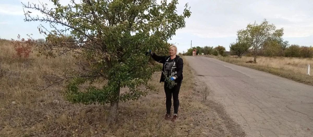 В Городище прошли субботники В Городище прошли субботники