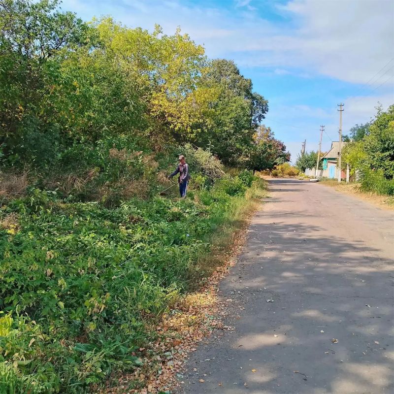 В Городище прошли субботники В Городище прошли субботники