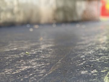 � ���������������� ����������� ��������������� ����� ������