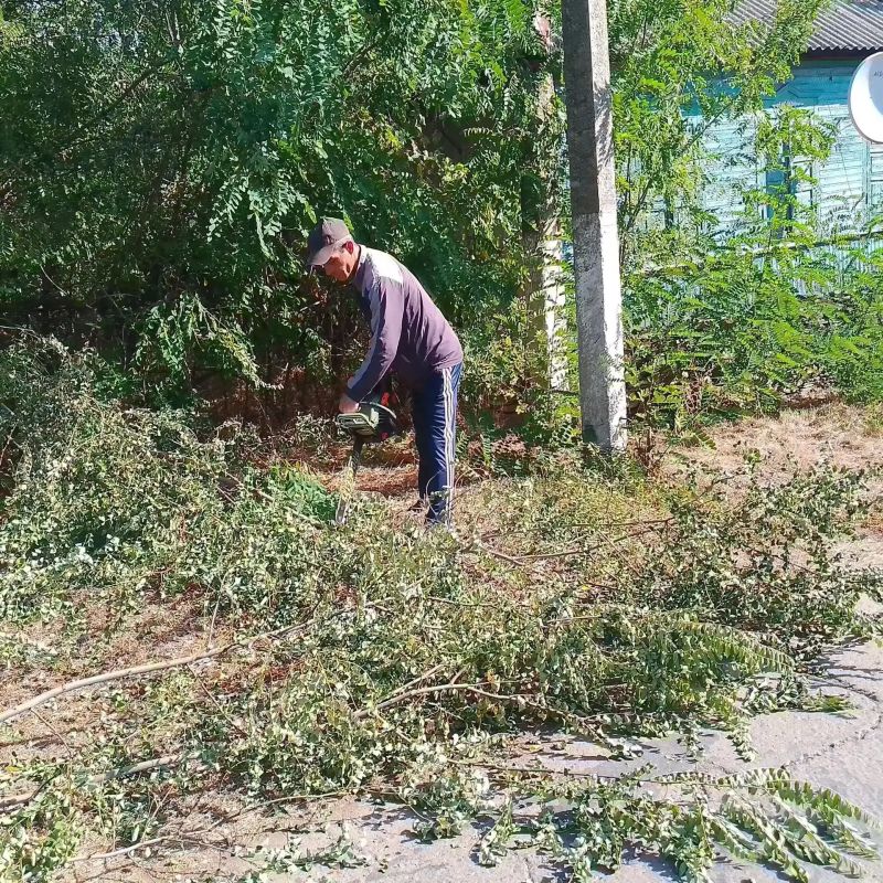 В Городище прошли субботники В Городище прошли субботники