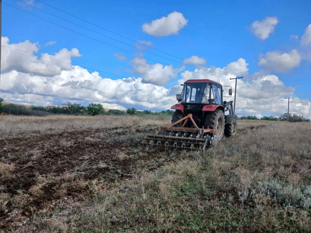 В пгт НагольноТарасовка в рамках действующего противопожарного режима проводятся работы по обустройству противопожарных минерализованных полос (опашке) В пгт НагольноТарасовка в рамках действующего противопожарного режима проводятся работы по обустройству противопожарных минерализованных полос (опашке)