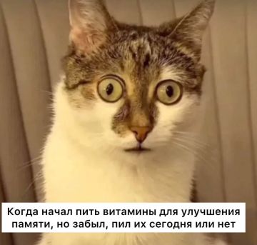 �������� �������� � ����� �������������� ������ �������, ������� ���� � ���� �����, � ���������