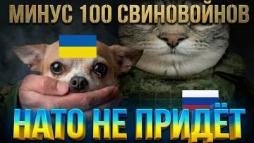 ��������� �������: ���������� �������� 100 ������!