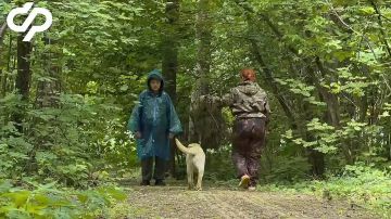 Поздравляем Росинку с успешным прохождением аттестации