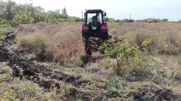 МУП «ЖЭК» города Ровеньки продолжает работу по обустройству минерализованных полос