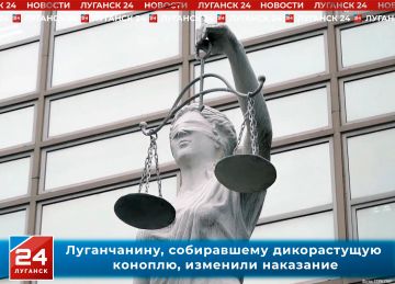 Луганчанину, собиравшему дикорастущую коноплю, изменили наказание