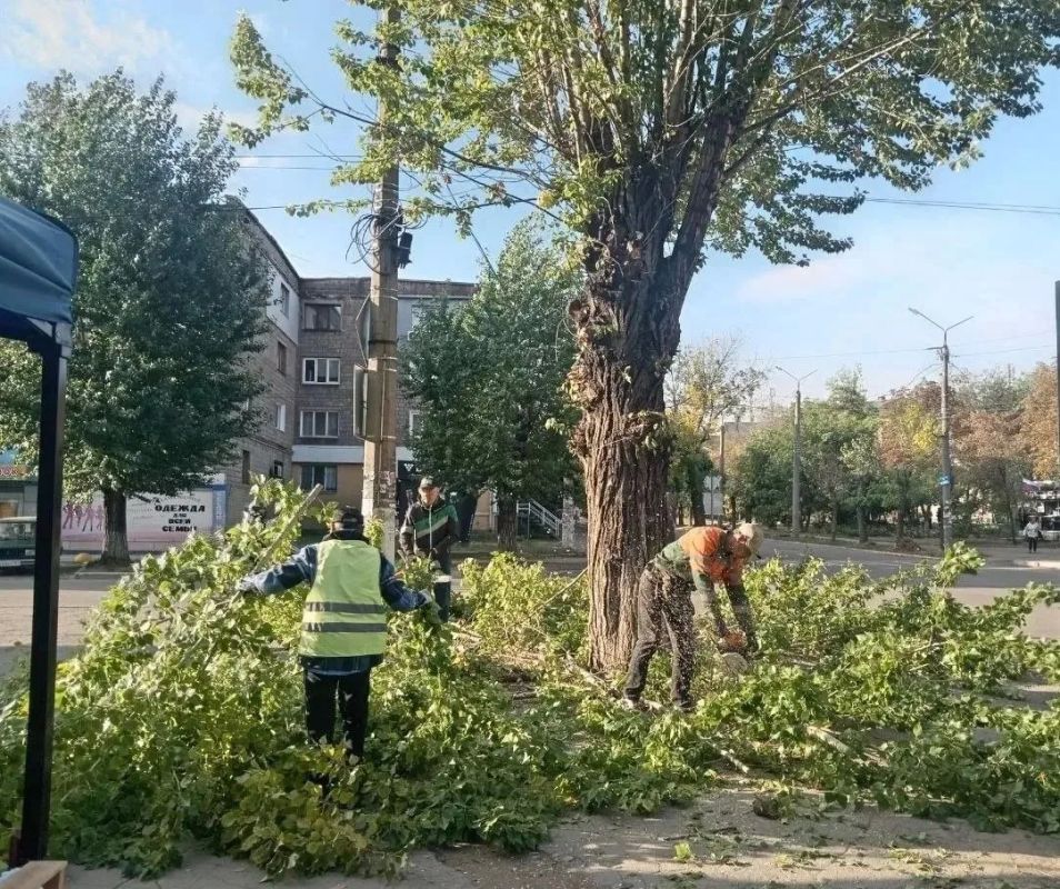 Коммунальными службами проведены работы на территории города Коммунальными службами проведены работы на территории города
