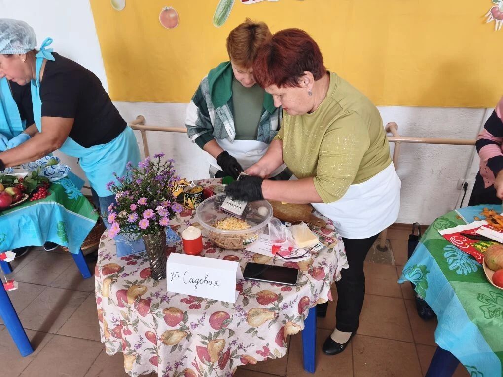 Живи, родной поселок!. В Пролетарском Доме культуры прошла Концертно-развлекательная программа «Живи, родной поселок!»