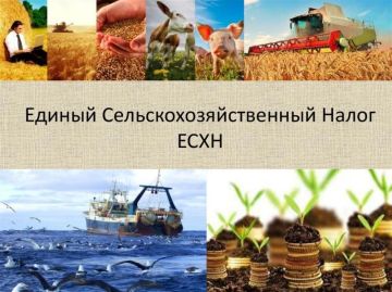 Специалисты Межрайонной инспекции Федеральной налоговый службы России по Луганской Народной Республике №10 информируют о имущественном налоге для ЕСХН