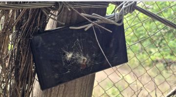 ������� ��������: ����������� �������� ���������� �����������