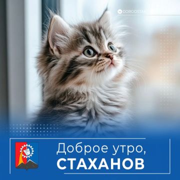 ������ ����, ������ �����!