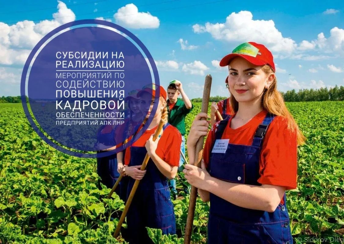Объявление об отборе получателей субсидии на реализацию мероприятий по содействию повышения кадровой обеспеченности предприятий АПК Луганской Народной Республики