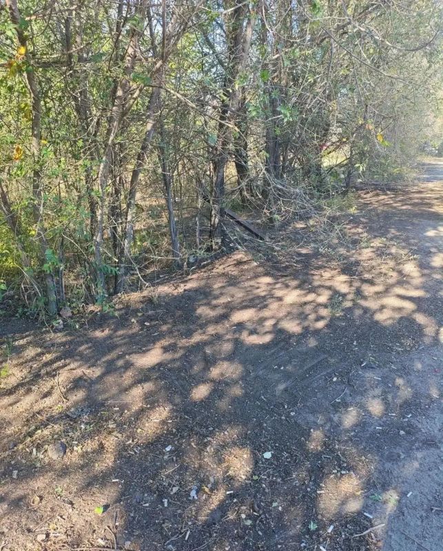 Продолжаются мероприятия по благоустройству территории муниципалитета Продолжаются мероприятия по благоустройству территории муниципалитета