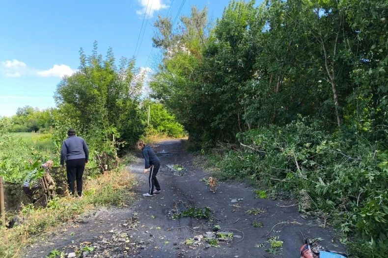 В посёлке городского типа Бирюково провели работы по планировке уличных дорог В посёлке городского типа Бирюково провели работы по планировке уличных дорог