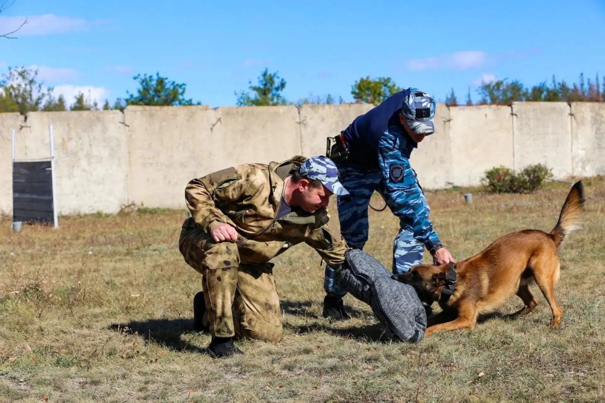 Ученики полицейских классов побывали на экскурсии в Центре кинологической службы МВД по Луганской Народной Республике Ученики полицейских классов побывали на экскурсии в Центре кинологической службы МВД по Луганской Народной Республике