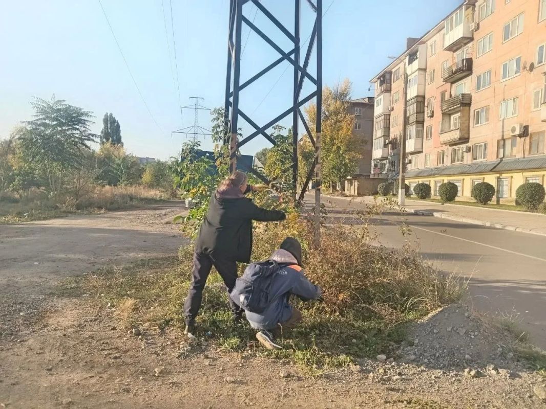Коммунальными службами проведены работы на территории города Коммунальными службами проведены работы на территории города