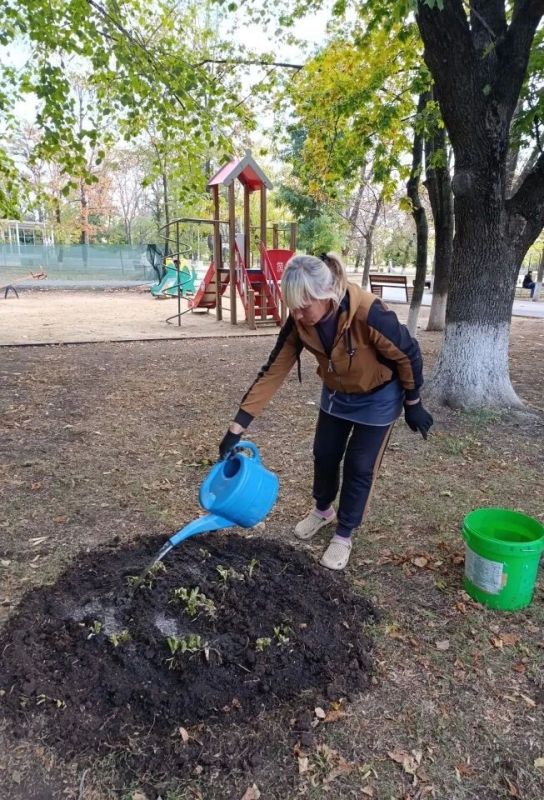 Красота парка начинается с заботы — сохраним её вместе Красота парка начинается с заботы — сохраним её вместе