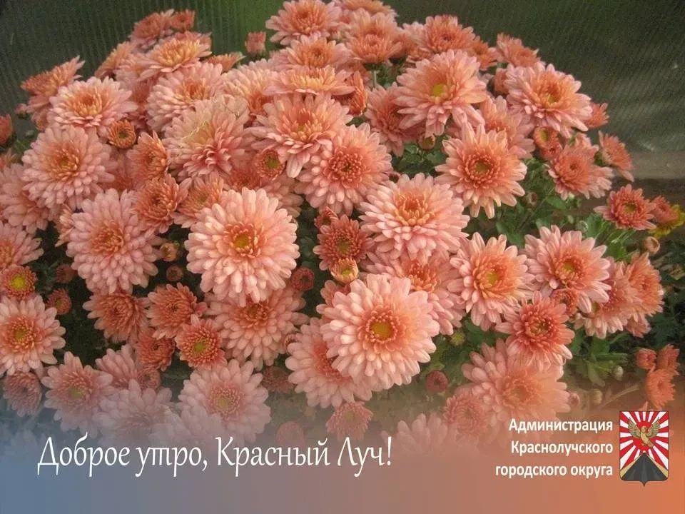 Доброе утро, краснолучане и гости города!