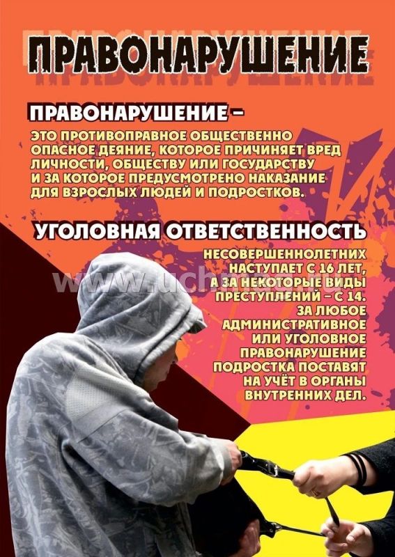 Профилактика преступности среди несовершеннолетних
