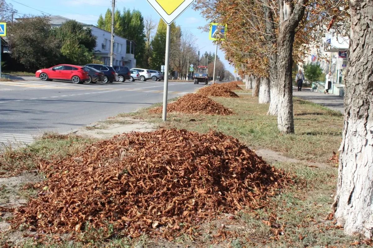 Сегодня в пгт Новопсков прошел массовый субботник, в котором приняли участие трудовые коллективы поселка и представители Партии «Единая Россия» Сегодня в пгт Новопсков прошел массовый субботник, в котором приняли участие трудовые коллективы поселка и представители Партии «Единая Россия»