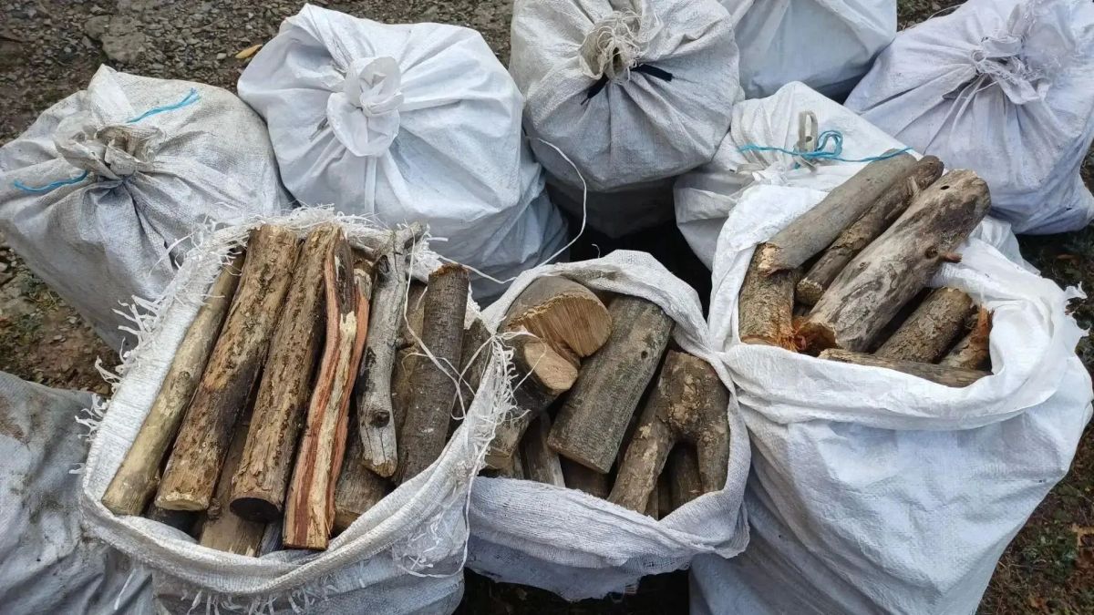 Партия поздравляет делом: семье погибшего военнослужащего оказали помощь к отопительному сезону Партия поздравляет делом: семье погибшего военнослужащего оказали помощь к отопительному сезону