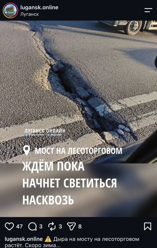 Черные полосы в жизни есть не только у людей