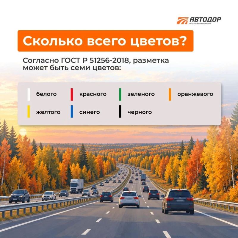 Думаете, что на дороге есть только два цвета разметки: белый и желтый? На самом деле их семь! Думаете, что на дороге есть только два цвета разметки: белый и желтый? На самом деле их семь!