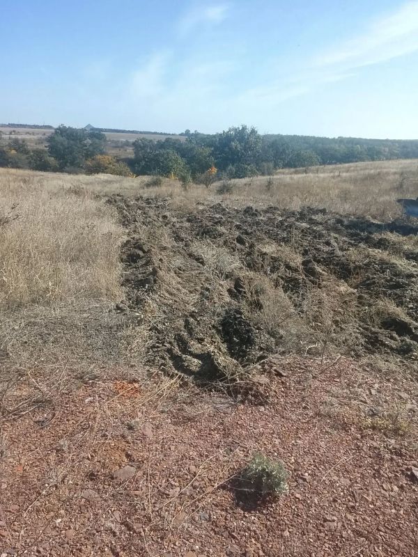 В пгт Михайловка, пгт Тацино и пгт Горняк завершено обустройство противопожарных минерализованных полос