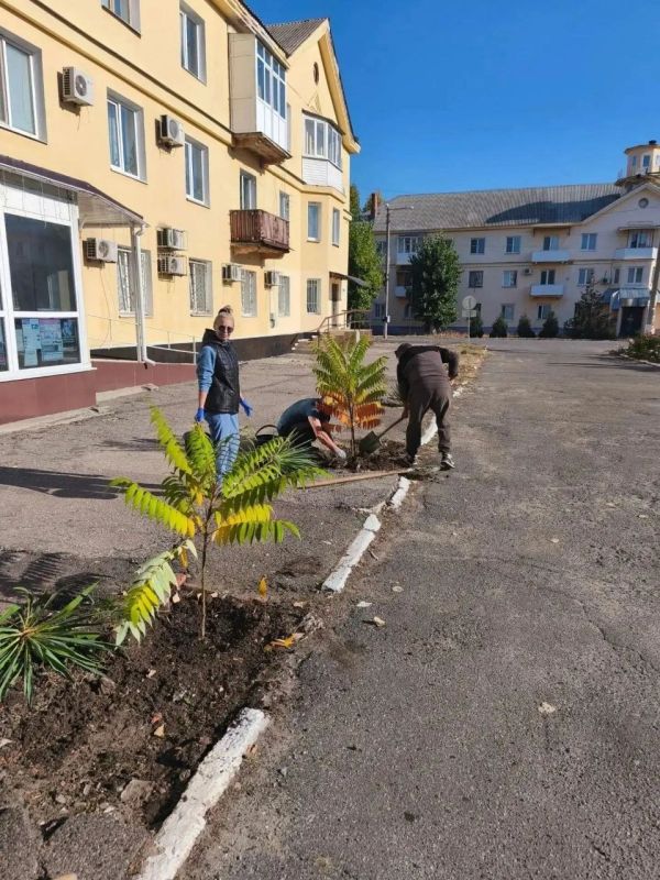 Подводим итоги субботника в г. Счастье