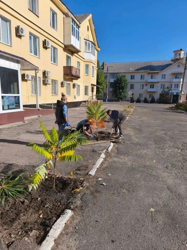 Вместе делаем город лучше: итоги субботника на площади Мира и прилегающих улицах Вместе делаем город лучше: итоги субботника на площади Мира и прилегающих улицах