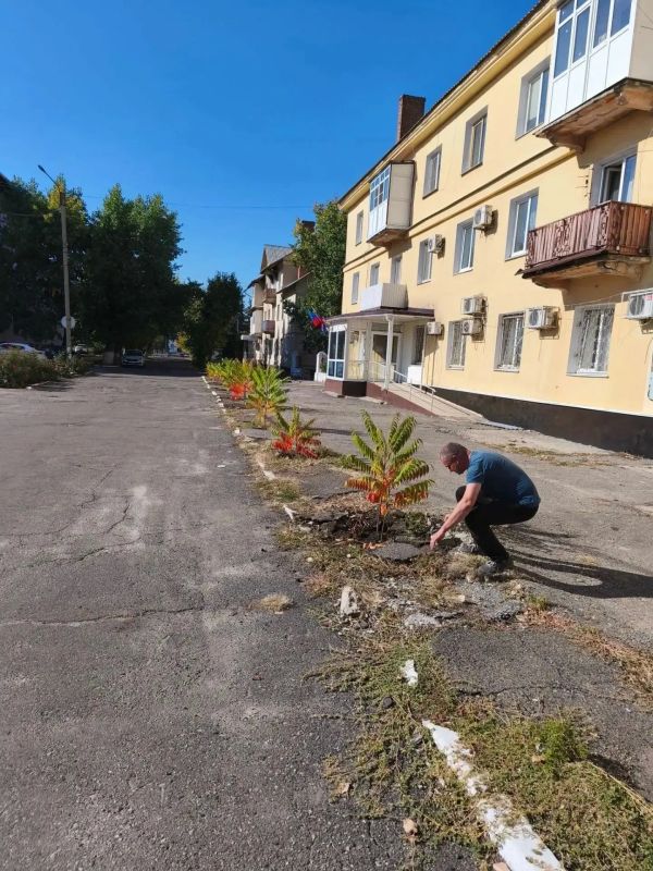 Вместе делаем город лучше: итоги субботника на площади Мира и прилегающих улицах Вместе делаем город лучше: итоги субботника на площади Мира и прилегающих улицах