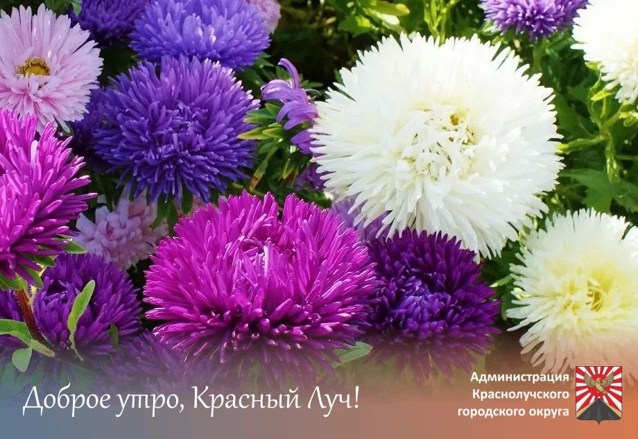 Доброе утро, краснолучане и гости города!