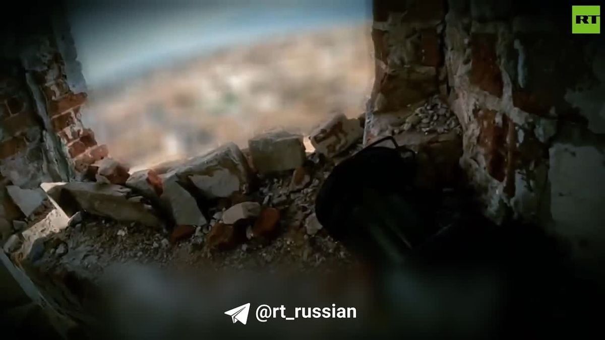 Герои СВО: Хищник. Продолжение
