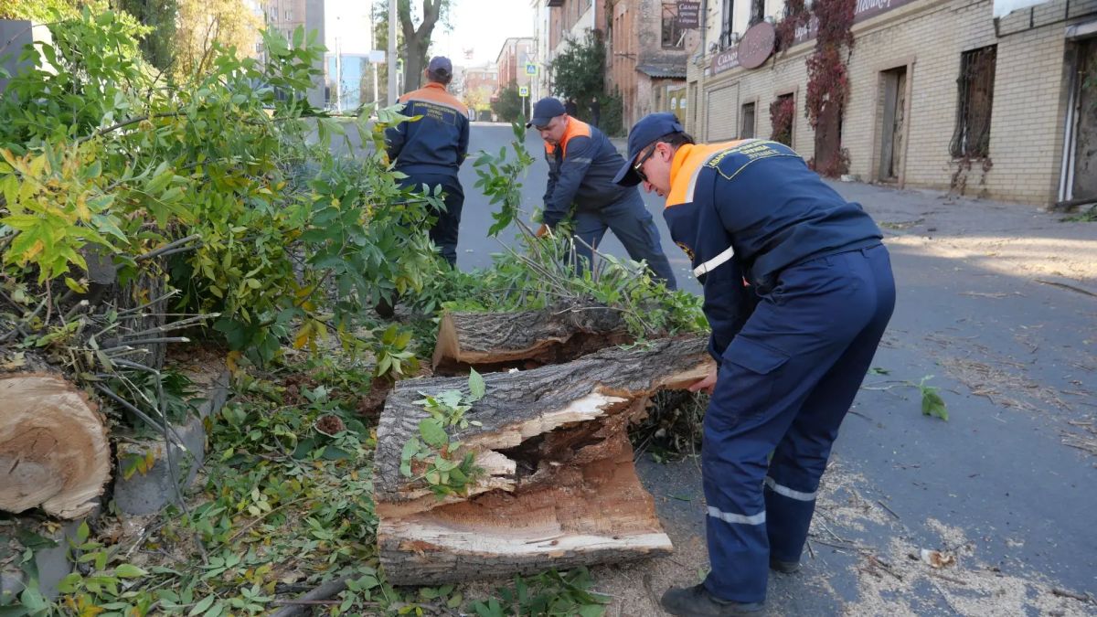 В Луганске оперативно устранили последствия падения дерева В Луганске оперативно устранили последствия падения дерева