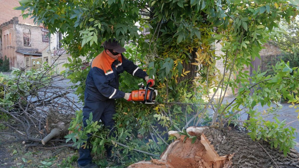 В Луганске оперативно устранили последствия падения дерева В Луганске оперативно устранили последствия падения дерева