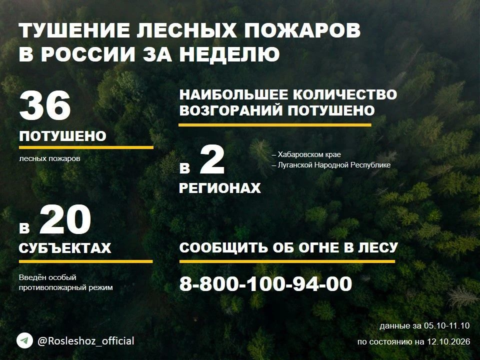 По данным Авиалесоохраны, подведомственной организации Рослесхоза, за прошедшую неделю потушено 36 лесных пожаров в 11 регионах России