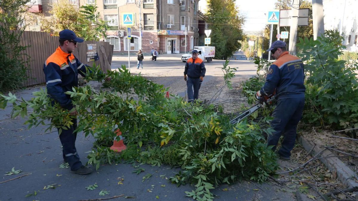 В Луганске оперативно устранили последствия падения дерева В Луганске оперативно устранили последствия падения дерева