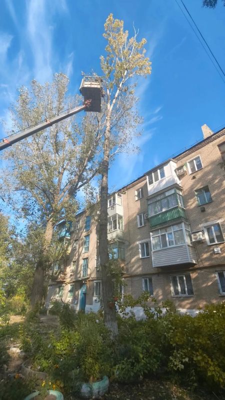 Одним из приоритетных направлений работы Администрации Краснодонского муниципального округа является рассмотрение обращений жителей по вопросам благоустройства, содержания территорий и безопасности населения Одним из приоритетных направлений работы Администрации Краснодонского муниципального округа является рассмотрение обращений жителей по вопросам благоустройства, содержания территорий и безопасности населения