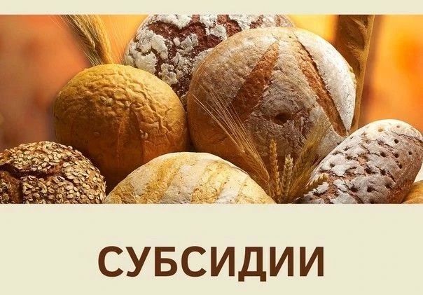 ОБЪЯВЛЕНИЕ О ПРОВЕДЕНИИ ОТБОРА ПОЛУЧАТЕЛЕЙ СУБСИДИИ