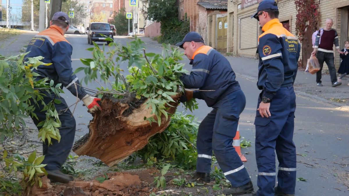 В Луганске оперативно устранили последствия падения дерева В Луганске оперативно устранили последствия падения дерева