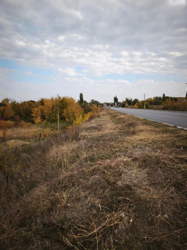 Специалисты дорожной службы проводят вырубку кустарника вдоль автодороги Михайловка-Алчевск-Брянка- Стаханов-Первомайск-Золотое Специалисты дорожной службы проводят вырубку кустарника вдоль автодороги Михайловка-Алчевск-Брянка- Стаханов-Первомайск-Золотое