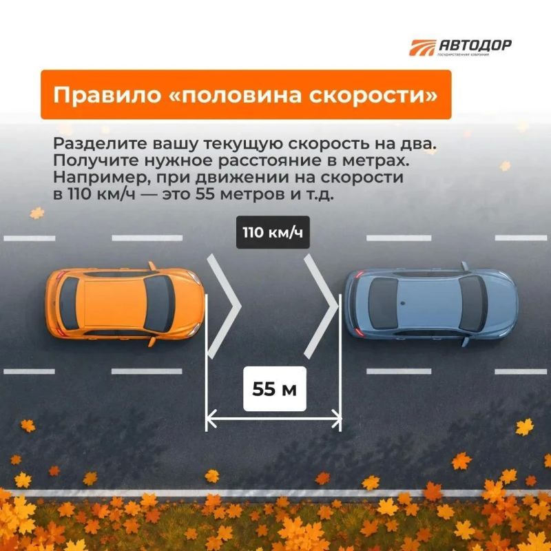 Осень — время держать дистанцию!