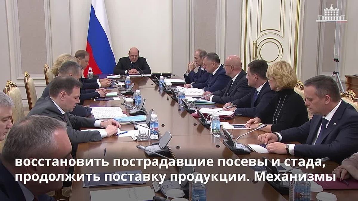 Аграрии новых регионов получат господдержку на агрострахование