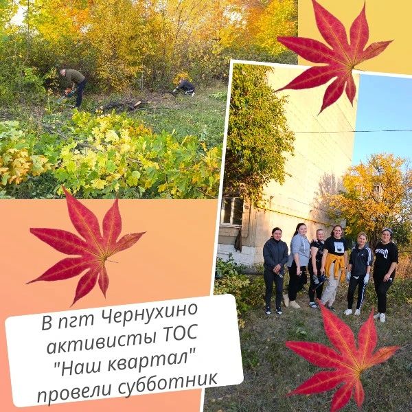 В пгт Чернухино активисты ТОС "Наш квартал" вышли на осенний субботник