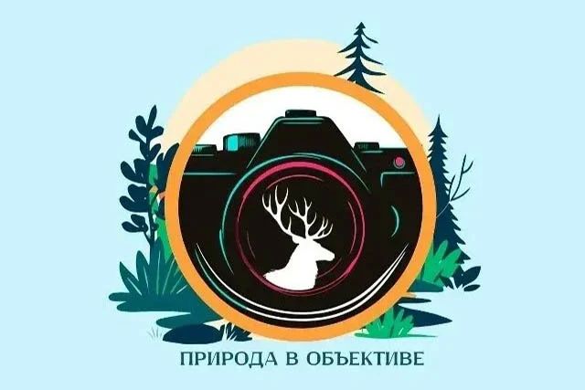 Ребята из ЛНР могут стать участниками экологического фотоконкурса, который проводит ГБУ РХ «Дирекция ООПТ Хакасии»
