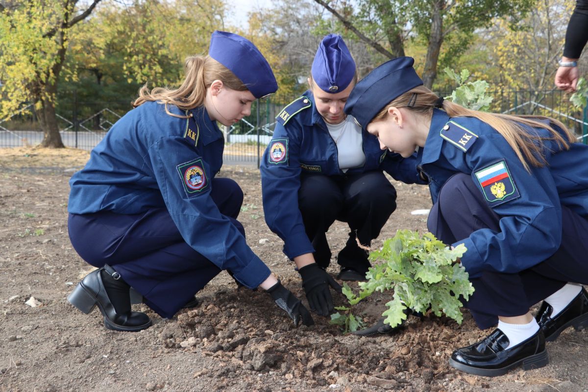 Юные кадеты высадили дубы в рамках акции "Сохраним лес" Юные кадеты высадили дубы в рамках акции "Сохраним лес"