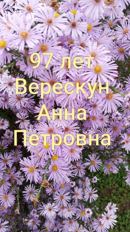 15 октября 2026 года сотрудники Передельского отдела жизнеобеспечения поздравили с днём рождения — замечательную женщину Верескун Анну Петровну, которой сегодня исполнилось 97 лет!