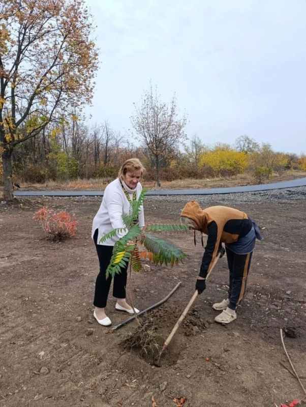 Проведены работы по благоустройству в Краснодоном парке культуры и отдыха им. «Молодой гвардии» Проведены работы по благоустройству в Краснодоном парке культуры и отдыха им. «Молодой гвардии»