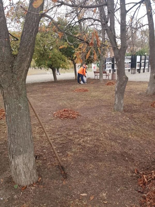 Ежедневный труд сотрудников МУП «Дорожно-эксплуатационное управление» помогает поддерживать чистоту и порядок в округе Ежедневный труд сотрудников МУП «Дорожно-эксплуатационное управление» помогает поддерживать чистоту и порядок в округе